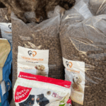 Mehrere große Tüten mit Hundefutter, eine davon mit dem Foto eines Hundes auf dem Etikett, sind aufeinander gestapelt. Oben auf den Tüten klettert eine Katze, die im oberen Teil des Bildes teilweise sichtbar ist.