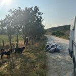 Eine unbefestigte Straße mit einem geparkten weißen Lieferwagen auf der rechten Seite, mehrere Säcke mit Material, die am Straßenrand aufgeschichtet sind, und zwei schwarze Hunde, die im Gras in der Nähe einiger Bäume im hellen Sonnenlicht stehen.