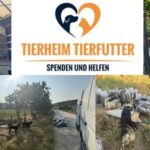 Eine Collage zeigt Säcke mit Tierfutter, Katzen und Hunden sowie das Logo des Tierheims Tierfutter", auf dem Futterlieferungen und die Fütterung von Heimtieren abgebildet sind. Der deutsche Text lautet: "Spenden und Helfen" (Spenden und Helfen).