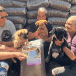 Vier Personen lächeln, während sie drei kleine Hunde vor gestapelten Tüten mit Tierfutter halten. Eine Person hält eine Schale mit Hundefutter. Die Szene deutet auf eine Spende oder Verteilung von Hundefutter hin.