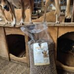 Eine große Tüte mit Hundefutter steht vor einer hölzernen Hundehütte. Zwei Hunde stehen oben auf der Hundehütte, nur ihre Beine und Unterkörper sind zu sehen. Die Umgebung sieht rustikal und wie ein Innenraum aus.