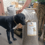 Eine Person in Tarnhose streichelt einen schwarzen Hund, der neben einer großen Tüte mit Hundefutter steht. Die Szene scheint sich im Freien in der Nähe einer Mauer zu befinden.