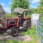Eine Person fährt an einem sonnigen Tag mit einem alten roten Traktor durch ein Metalltor in der Nähe eines ländlichen Gebäudes und einiger gestapelter Säcke, mit Bäumen und grüner Vegetation im Hintergrund.
