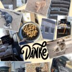 Eine Collage mit Fotos von fressenden und spielenden Hunden, Tüten mit Hundefutter, Fahrzeugen, die Hundefutter transportieren, und einem großen DANKE in der Mitte.