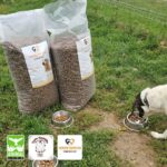 Zwei große Tüten mit Hundefutter stehen auf dem Rasen neben drei Schüsseln, die mit Hundefutter gefüllt sind. Ein Hund frisst aus einer Schale. In der unteren linken Ecke sind drei Logos von Tierschutzorganisationen abgebildet.