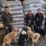 Drei lächelnde Menschen stehen vor gestapelten Tüten mit Tierfutter, jeder hält eine Leine, an der ein Hund befestigt ist. Vier Hunde sitzen oder stehen vor ihnen, und im Hintergrund ist ein Spendenschild für das Tierheim zu sehen.