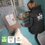 Eine Person, die eine Animal-Life-Jacke trägt, füttert einen Hund in einem Zwinger eines Tierheims. Auf dem Bild sind eine große Tüte mit Hundefutter und drei Logos der Organisation zu sehen.