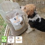 Ein kleiner, schwarz-weiß-brauner Hund schnüffelt an einer großen Tüte Hundefutter in einem Metallgehäuse. In der unteren linken Ecke des Bildes erscheinen drei Logos von Organisationen.