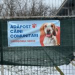 Ein Schild an einem Drahtzaun zeigt einen glücklichen Hund und den Text "Adăpost câini comunitari Târgșorul Vechi" auf Rumänisch, der auf ein kommunales Hundeheim hinweist. Im Hintergrund sind Schnee und Bäume zu sehen.