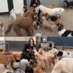 Eine junge Frau, umgeben von einer großen Gruppe freundlicher Hunde verschiedener Rassen und Größen in einem gepflasterten Außenbereich. Sie lächelt und streichelt die Hunde, die sich um sie scharen.