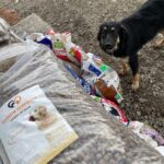 Ein schwarz-hellbrauner Hund steht auf felsigem Boden neben mehreren Beuteln mit Hundefutter, darunter ein großer durchsichtiger Beutel mit Futter und dem Bild eines Hundes auf dem Etikett.