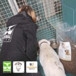 Eine Person in einer schwarzen Animal-Life-Jacke kniet neben einem weißen Hund, der aus einem Napf in einem Käfig frisst. Im Vordergrund sind eine Tüte mit Hundefutter und drei Logos von Tierschutzorganisationen zu sehen.