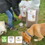 Eine Person füllt Hundefutter in Metallschüsseln für zwei Hunde im Freien ein, während große Tüten mit Hundefutter in der Nähe stehen. In der unteren linken Ecke des Bildes sind drei Logos von Tierhilfsorganisationen zu sehen.