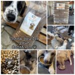 Eine Collage mit Hunden, die gespendetes Hundefutter erhalten und fressen. Mit Nahaufnahmen von Hunden, Trockenfutter, großen Futtersäcken und dem Text Danke für Ihre Spende ♡ und Danke.