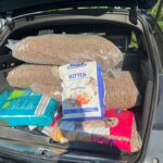 Im offenen Kofferraum eines schwarzen Autos stapeln sich mehrere große Säcke mit Trockenfutter für Haustiere, darunter auch Futter für Katzen und Kätzchen. Die Futtersäcke haben verschiedene Größen und Farben, einige sind durchsichtig, andere bedruckt.