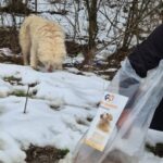 Ein flauschiger weißer Hund steht auf verschneitem Boden, während eine Person in Schwarz eine große Tüte mit Hundefutter hält, auf der ein Hundefoto abgebildet ist. Die Szene spielt sich im Freien ab, mit kahlen Bäumen im Hintergrund.