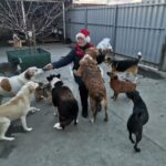 Eine ältere Person mit Weihnachtsmannmütze und Schal steht in einem Hof, umgeben von einer Gruppe aufgeregter Hunde verschiedener Rassen und Farben, von denen einige auf zwei Beinen stehen und ungeduldig auf Leckereien warten.