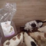 Fünf Welpen mit unterschiedlichen Fellmustern fressen aus einer Schüssel mit Hundefutter, die auf dem Boden steht. Neben ihnen steht eine große, durchsichtige Tüte mit Hundefutter, auf der ein Etikett und das Bild eines Hundes abgebildet sind. Im Hintergrund sind der Boden und die Wand gefliest.