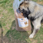 Ein großer, flauschiger Hund schnüffelt an einer großen, durchsichtigen Tüte mit Hundetrockenfutter im Gras. Die Tüte hat ein Etikett mit dem Bild eines Hundes und einem Text in deutscher Sprache. Auf dem Boden sind Sonnenlicht und verstreutes Heu zu sehen.