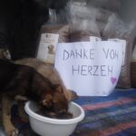 Ein Hund frisst aus einer weißen Schüssel vor Tüten mit Hundefutter. Hinter dem Hund steht ein Schild mit der Aufschrift DANKE VON HERZEN und einem rosafarbenen Herz, das ein herzliches Dankeschön ausdrückt.