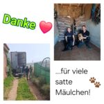 Eine Collage mit Danke und einem Herz-Emoji, zwei Menschen mit Hunden, die vor gestapelten Hundefuttersäcken sitzen, und ein Foto von Menschen, die Hilfsgüter aus einem Lastwagen abladen. Text: ...für viele satte Mäulchen! mit Pfotenabdrücken.