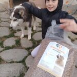 Ein junges Mädchen in einer schwarzen Jacke streichelt draußen auf einem Steinweg einen Husky-Hund. Vor ihnen steht eine große offene Tüte mit Hundetrockenfutter mit der Aufschrift Tierheim Trefutter. Im Hintergrund ist ein Fahrrad zu sehen.