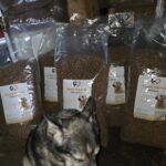 Ein Hund sitzt vor mehreren großen, durchsichtigen Plastiktüten, die mit Hundetrockenfutter gefüllt sind. Auf jedem Beutel befindet sich ein Etikett mit der Abbildung eines Hundes und dem Branding von Premium Territori.