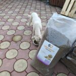 Ein weißer Hund frisst aus einem Napf auf einer kreisförmig gemusterten Terrasse. Im Vordergrund steht eine große durchsichtige Tüte mit Hundetrockenfutter mit der Aufschrift Premium Petfoods.