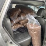 Große durchsichtige Plastiktüten, die mit braunen Bohnen gefüllt sind, stapeln sich auf dem Rücksitz eines Autos mit geöffneter Tür und füllen fast den gesamten Raum aus. Auf dem Sitz ist auch ein schwarzes Tuch zu sehen.