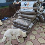 Ein weißer Hund frisst aus einem Napf vor einem großen Stapel von Tierfuttertüten. Auf dem Stapel hängt ein Banner mit der Aufschrift Tierheim Tierfutter Spenden und Helfen. Die Szene spielt sich im Freien auf einer gemusterten Veranda ab.