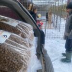 In einem offenen Autokofferraum stapeln sich große Tüten mit Hundefutter. Zwei Menschen stehen in der Nähe eines eingezäunten Zwingers im Schnee, einer gibt einem Hund im Inneren des Geheges Futter oder Wasser. Ein weiterer Hund ist im Hintergrund zu sehen.