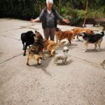 Eine ältere Frau steht im Freien auf einer Betonfläche, umgeben von sieben Hunden verschiedener Rassen und Größen, mit Grünpflanzen und einem Drahtzaun im Hintergrund. Sie scheint sich mit den Hunden zu beschäftigen.