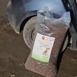 Eine große, durchsichtige Plastiktüte mit Katzenfutter lehnt gegen das Hinterrad eines dunklen Autos mit offener Tür. Auf der Tüte ist das Bild einer Katze abgebildet und sie steht auf einem schmutzigen Boden.