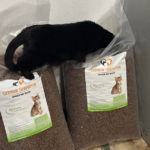 Eine schwarze Katze, die ihren Kopf in einen großen Sack Katzenfutter gesteckt hat, sitzt auf einem weiteren identischen Sack. Beide Säcke tragen die Aufschrift „Tierheim Tierfutter“ und sind mit Katzenbildern bedruckt.