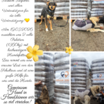 Vier Fotos zeigen Hunde, die vor gestapelten Paletten mit Hundefuttersäcken sitzen und liegen; dazu gibt es einen deutschen Text, in dem den Unterstützern gedankt und die Lieferung beschrieben wird. Gelbe Blumen und Pfotenabdrücke schmücken die Collage.