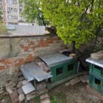 Eine getigerte Katze sitzt auf einer Backsteinmauer über zwei grünen Katzenunterkünften im Freien, die aus Holz und Metall bestehen, umgeben von Bäumen und mit einem Wohnhaus im Hintergrund.
