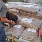 Ein Mann streichelt einen kleinen braunen Hund, der auf großen Säcken mit Trockenfutter steht, die draußen auf einem Anhänger gestapelt sind. Der Anhänger ist mit orangefarbenen Gurten gesichert, und im Hintergrund sind Bäume zu sehen.