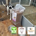 Ein schwarz-weißer Hund steht neben einem großen Sack Hundefutter auf einem Holzboden. Im Vordergrund sind zwei leere Metallnäpfe und drei Logos von Tierschutzorganisationen zu sehen.