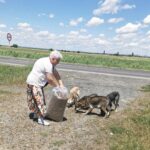 Eine ältere Frau schüttet Trockenfutter aus einem großen Sack auf den Boden und füttert drei streunende Hunde am Rande einer Landstraße unter einem blauen Himmel mit vereinzelten Wolken.