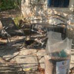Drei Katzen haben sich auf einer Steinterrasse in der Nähe einer Bank versammelt; im Vordergrund steht ein großer Sack mit Tierfutter. Das Sonnenlicht wirft Schatten über den Bereich und lässt die Gartenmöbel sowie eine Steinmauer mit einem blauen Fenster hervortreten.