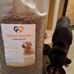 Neben einem schwarzen und braunen Hund, der drinnen auf einem Fliesenboden aus einem Metallnapf Trockenfutter frisst, steht ein großer Sack mit „Tierheim Tierfutter“-Hundefutter.