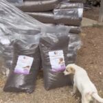 Ein weißer Hund steht neben großen Säcken mit Tierfutter, die im Freien gestapelt sind. Auf den Säcken sind Etiketten mit Abbildungen von Hunden und Katzen zu sehen. Im Hintergrund ist eine Person zu erkennen.