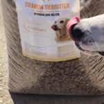 Eine Nahaufnahme der Nase und Zunge eines Hundes neben einem großen Sack Hundefutter mit der Aufschrift „Tierheim Tierfutter“ und dem Bild eines Hundes auf der Verpackung, der auf einer sonnenbeschienenen Fläche im Freien sitzt.