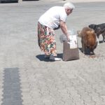 Eine ältere Frau schüttet Trockenfutter aus einem großen Sack auf den Bürgersteig und füttert drei streunende Hunde, während im Hintergrund ein weiterer Hund steht.