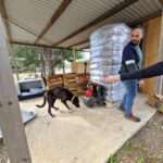 Ein Mann steht auf einem Betonboden in der Nähe von gestapelten Paletten, während ein schwarz-weißer Hund am Boden schnüffelt. Die Hand einer anderen Person zeigt auf den Hund. Die Szene spielt sich unter einem Metalldach im Freien ab.