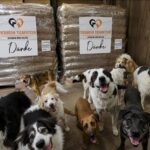 Vor zwei großen Paletten mit Hundefutter, die mit „Tierheim Tierfutter“ beschriftet sind und auf denen „Danke“ steht, steht eine Gruppe fröhlicher Hunde in einem rustikalen Holzunterstand.