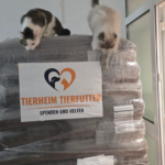 In einem Raum stehen zwei Katzen auf gestapelten Tierfuttersäcken. Auf den Säcken ist ein Schild mit der Aufschrift „Tierheim Tierfutter Spenden und Helfen“ zu sehen, was auf eine Spendenaktion für ein Tierheim hinweist.