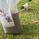 Im Vordergrund steht ein großer Sack Hundefutter auf dem Rasen, während im Hintergrund ein schwarz-weißer Hund Trockenfutter vom Boden frisst. Weiter hinten sind Bäume und ein Weg zu sehen.