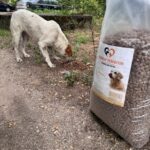 Ein weiß-brauner Hund frisst Trockenfutter vom Boden neben einem großen Sack Hundefutter im Freien auf einem Feldweg, umgeben von viel Grün.