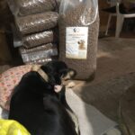 Ein schwarz-brauner Hund mit Halsband liegt auf einer Decke neben einem großen Sack Hundefutter und mehreren kleineren Säcken, die dahinter gestapelt sind, in einer rustikalen Innenkulisse.
